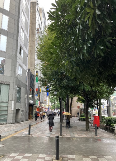 油木第一ビル